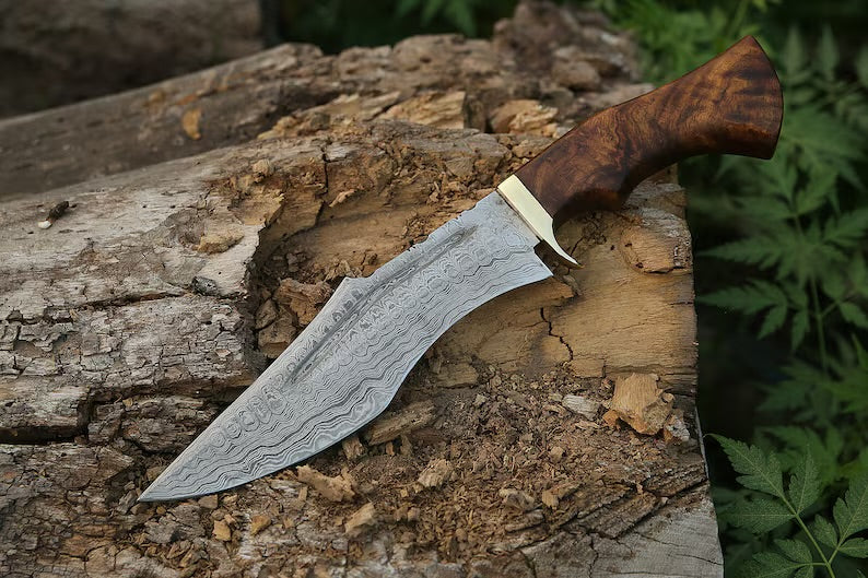 Handmade damacus steel hunting knife with wood &brass handle